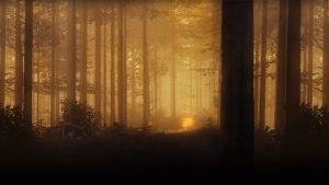 Nature Treks VR