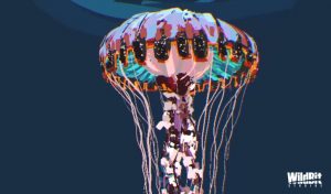 CoolPaintr VR
