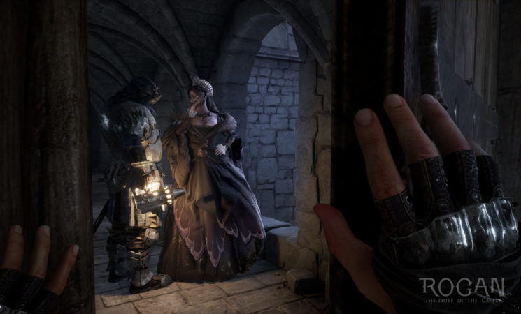 ROGAN The Thief in the Castle