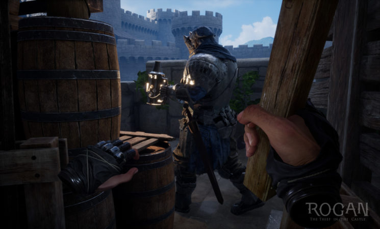 ROGAN The Thief in the Castle